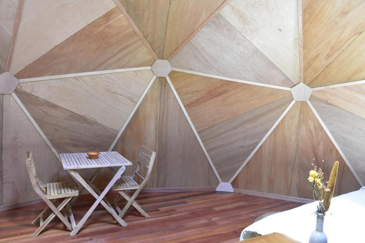 Les Insolites Du Domaine D'Haulme Bagian luar foto